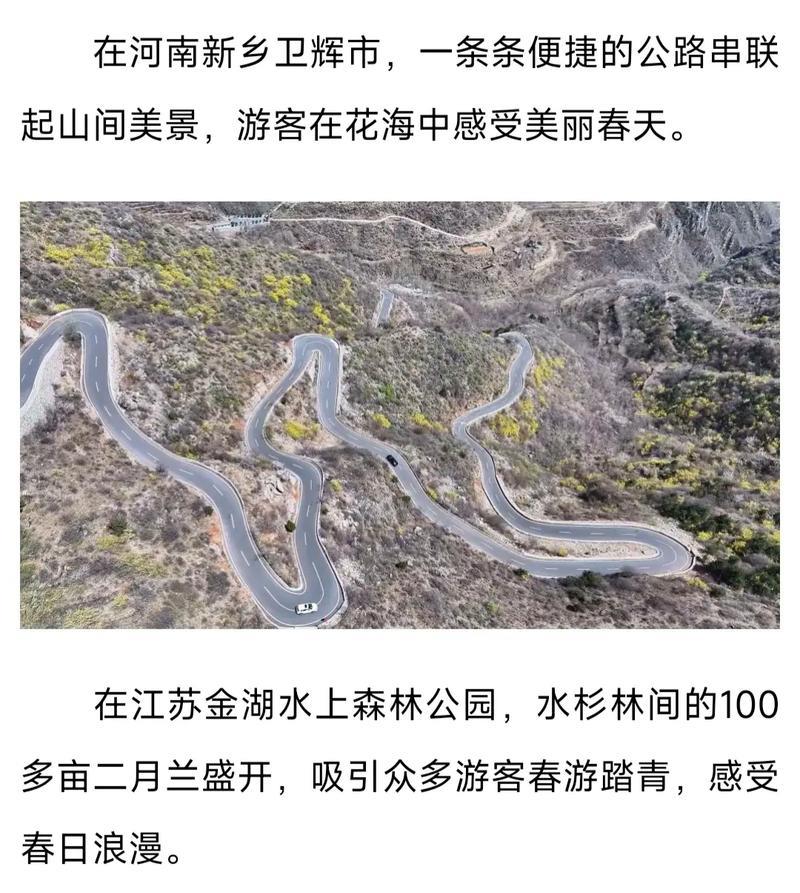 踏春赏花享胜景 文旅融合热力足——透视清明小长假出行消费亮点